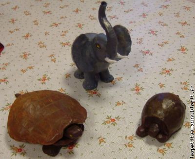 les tortues se promènent sur notre table