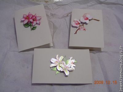 tout çà en un après-midi ...