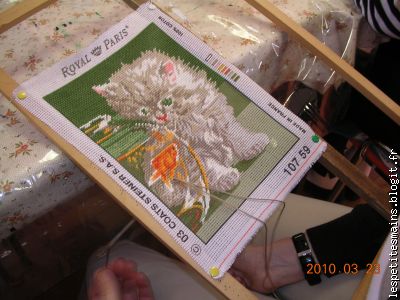 il a l'air bien intrigué ton petit chat ?