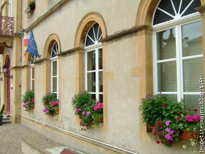 vue de nos fenêtres - super