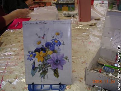 quel bonheur pour les yeux !