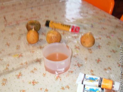 quelques coloquintes ...