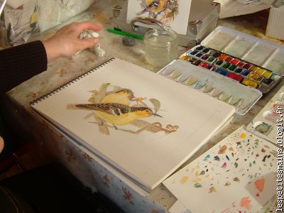 çà sent le printemps, couic, couic ...