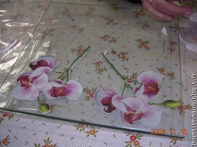 encore une belle assiette en cours