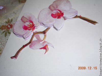 déjà envie de printemps !