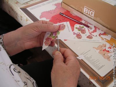 elles sont plus belles que celles du jardin !