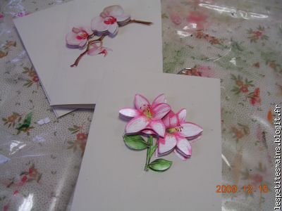 ils reviendront les beaux jours !