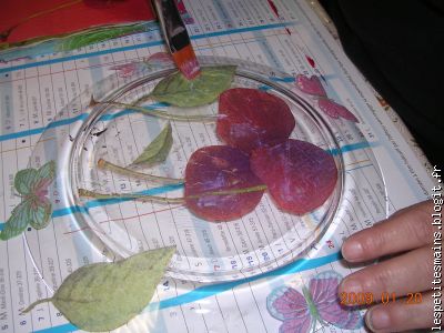 elles sont appétissantes ...